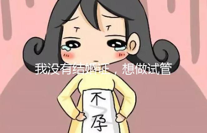 我沒有結(jié)婚證，想做試管嬰兒，可以做嗎？