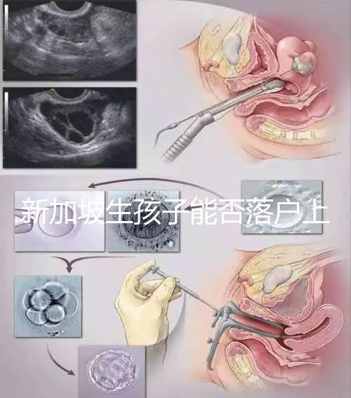 新加坡生孩子能否落戶上海分,@家長:高學(xué)歷可以申請(qǐng)