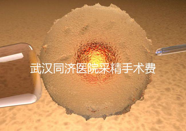 武漢同濟醫院采精手術費用分析,顯微采精也可報銷