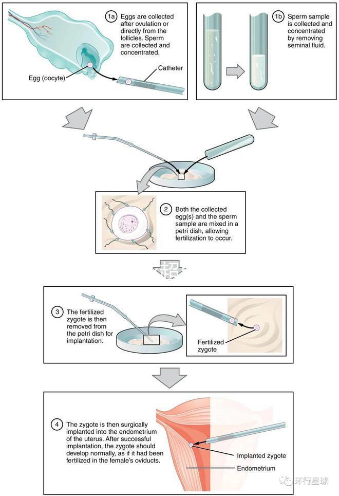 武漢四維彩超費用表整理,內(nèi)附市婦保院超全預約攻略