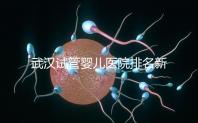 武漢試管嬰兒醫院排名新出爐，來看看2024哪些私立機構上榜