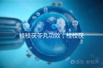 桂枝茯苓丸功效（桂枝茯苓丸功效作用與主治）