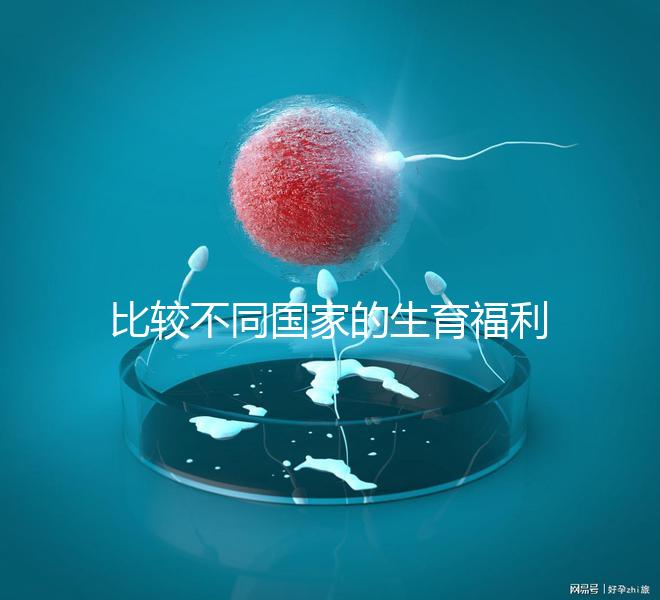 比較不同國家的生育福利｜生孩子還能拿到錢嗎？