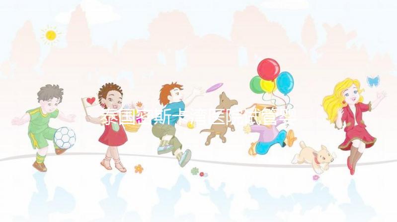 泰國密斯卡灣醫(yī)院試管嬰兒價(jià)格指南附項(xiàng)目及費(fèi)用明細(xì)!