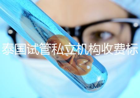 泰國試管私立機構收費標準公開，收費透明，可靠