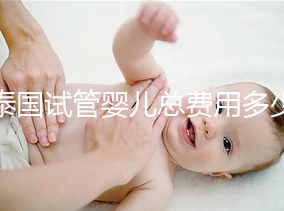 泰國(guó)試管嬰兒總費(fèi)用多少(泰國(guó)試管嬰兒總費(fèi)用多少錢)