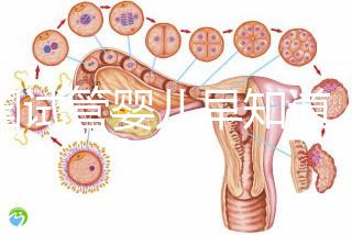 泰國(guó)試管嬰兒早知道,威它尼醫(yī)院Vejthani圖文攻略