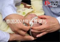 泰國(guó)2024年試管嬰兒攻略索引：證書(shū)，結(jié)婚證是硬條件