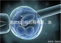 測(cè)出大白板也有希望,凍胚移植第六天的著床癥狀一覽!