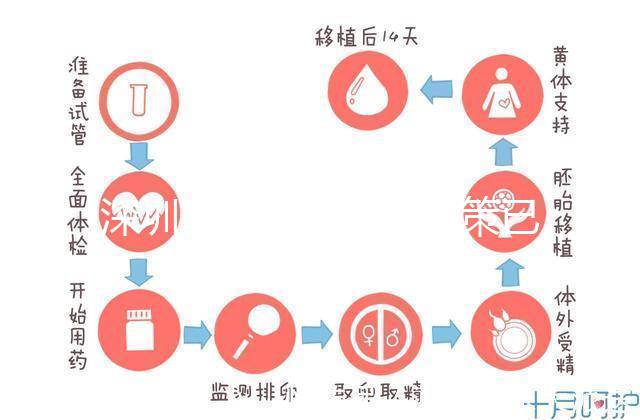 深圳最新獨生子女政策已出爐,羅湖、南山區(qū)補貼金均有提高