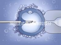 深圳正式進入強制垃圾分類時代，不分類最高被罰50萬!