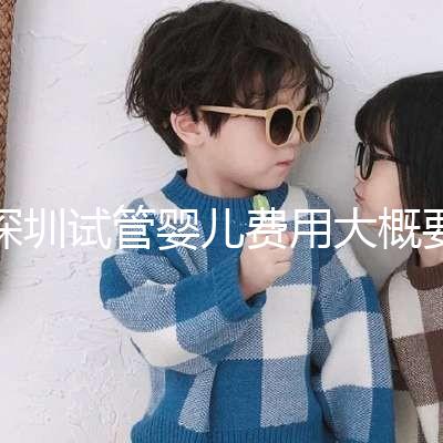 深圳試管嬰兒費(fèi)用大概要多少錢(qián):2024年費(fèi)用概覽