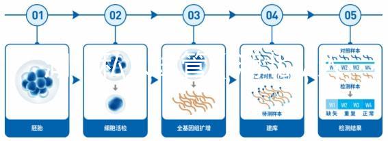湖北私人試管（湖北私人試管醫院排名）