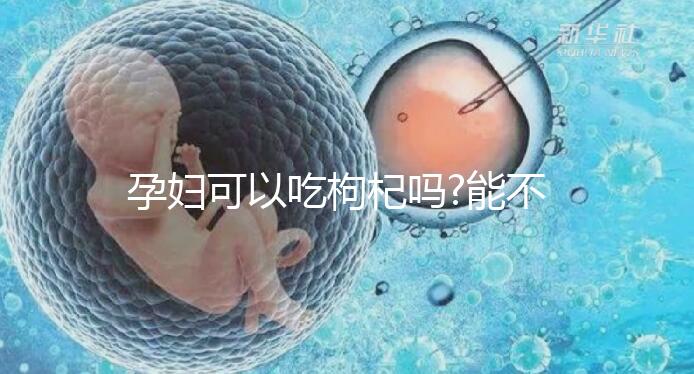 孕婦可以吃枸杞嗎?能不能吃一看便知