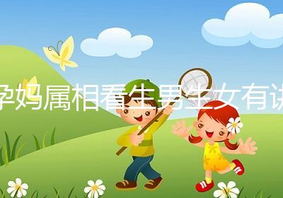 孕媽屬相看生男生女有講究,方法沒找對(duì)測(cè)試結(jié)果有誤差