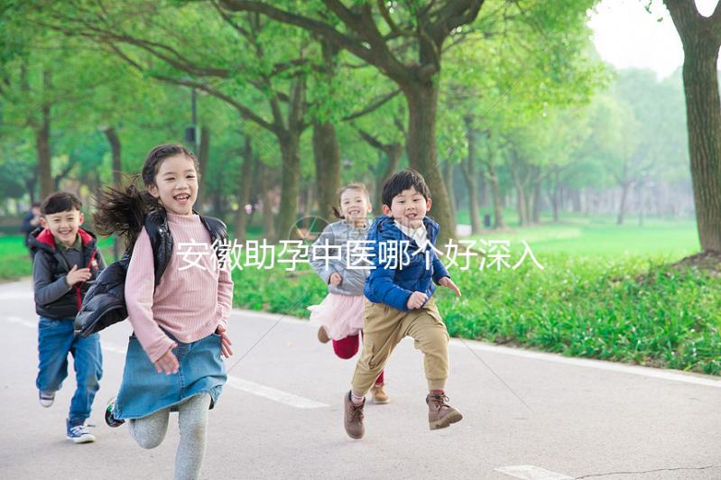 安徽助孕中醫哪個好深入分析?不要錯過合肥和蕪湖