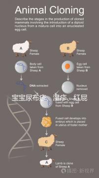 寶寶尿布疹、濕疹、紅屁股傻傻分不清?4點區別輕松診斷