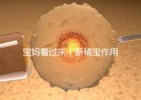 寶媽看過來！新稀寶作用及用法用量介紹