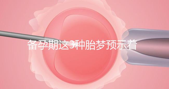 備孕期這3種胎夢預示著貴子降臨,想懷兒子有福利了