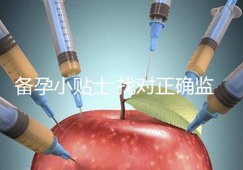 備孕小貼士:找對(duì)正確監(jiān)測(cè)排卵的時(shí)間才能更好受孕