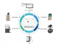 大蒜的功效與作用（吃大蒜傷肝還是護(hù)肝）