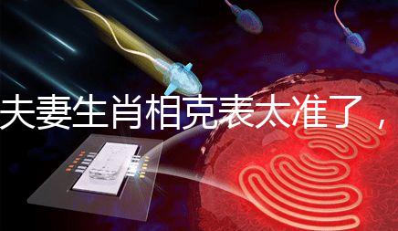 夫妻生肖相克表太準了，丑牛和午馬結合真犯“沖”