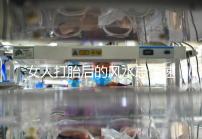 女人打胎后的風水忌諱速來觀看，破解方法或能起關鍵作用