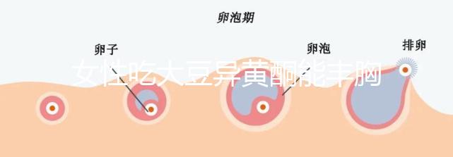 女性吃大豆異黃酮能豐胸?別再被這些虛假?gòu)V告給忽悠了