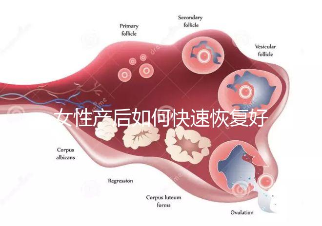女性產(chǎn)后如何快速恢復(fù)好身材？