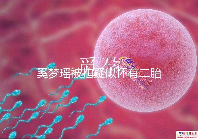 奚夢瑤被拍疑似懷有二胎，四太陪同產檢未見何猷君