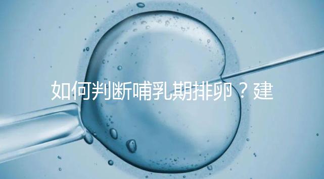 如何判斷哺乳期排卵？建議試試這四招，快速掌握排卵期