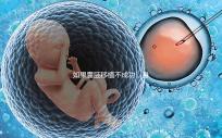 如果囊胚移植不成功，身體會有什么反應(yīng)？除腹痛外，這三個方面也需要注意