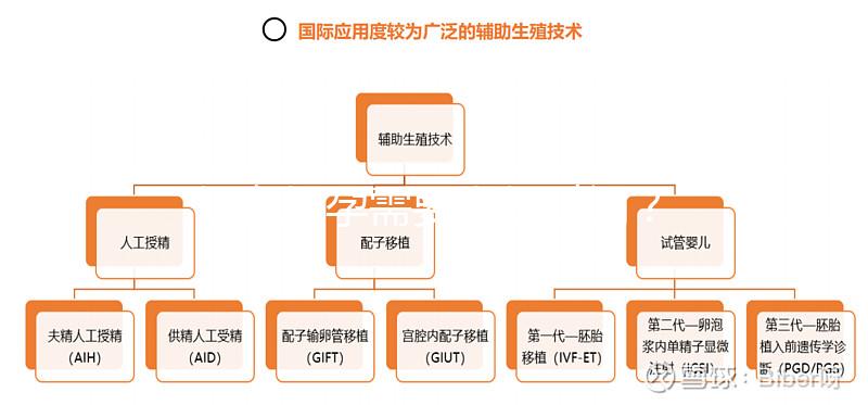 婦女懷孕需要多長時間？