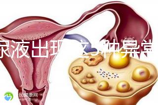 當(dāng)尿液出現(xiàn)這5種異常情況，那么腎功能檢查刻不容緩