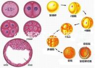 小伙篡改了上百名同學中考志愿，這些預防知識多么重要！