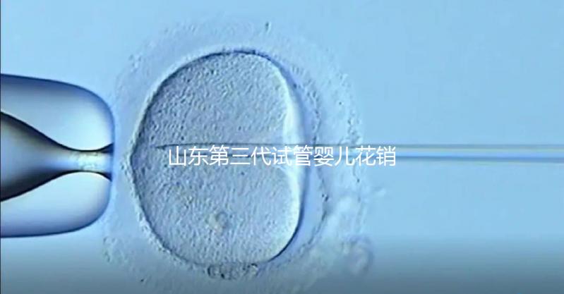 山東第三代試管嬰兒花銷全解析：詳細價格一覽，輕松做好預算準備