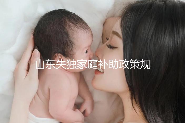 山東失獨家庭補助政策規(guī)定2024,濟南超過60歲每月領(lǐng)一千
