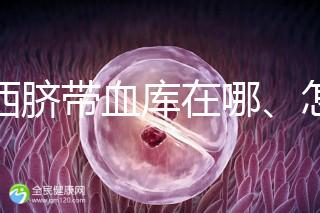 山西臍帶血庫在哪、怎么保存答案在這，太原存20年費用竟…