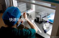 快速懷孕有秘訣！卵泡破裂后多久同房是關鍵