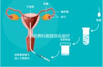 廊坊男科醫(yī)院排名最好,醫(yī)院出爐!廣陽(yáng)這些機(jī)構(gòu)可以排隊(duì)