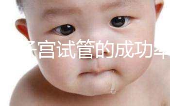 弓形子宮試管的成功率在這里有多少答案？這樣做著床并不難