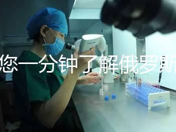 帶您一分鐘了解俄羅斯試管中心的費用明細，快速收集！