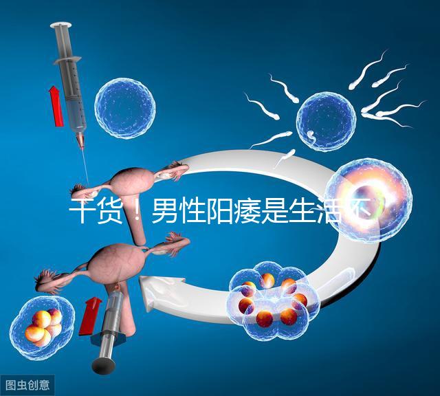 干貨!男性陽痿是生活不規(guī)律引起催乳激素偏高導(dǎo)致