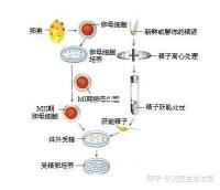選對成功一半！來看看海南哪家醫(yī)院能做三代試管嬰兒