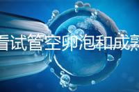 速看試管空卵泡和成熟卵泡能否區(qū)分開，這兩大技巧學起來