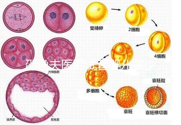 邵逸夫醫(yī)院試管嬰兒多少錢?全部費(fèi)用明細(xì)為你一一列出