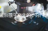 鑒別孩子親生的小竅門快收藏，取牙刷樣本準不準分情況