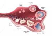 長沙未婚子戶口會注明單親家庭解密嗎？如果你不明白，來看看