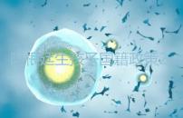 阿根廷生孩子國籍政策2024，落戶流程和條件一文說清