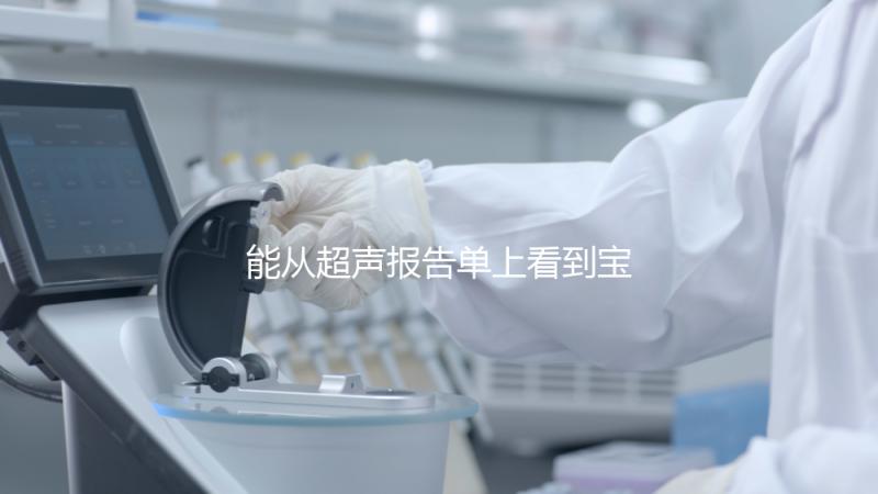 能從超聲報告單上看到寶寶的性別嗎？